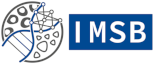 IMSB Logo